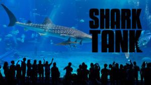 Shark Tank Update