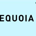 Why Sequoia Capital Invests Heavily in Startup Brands 2024